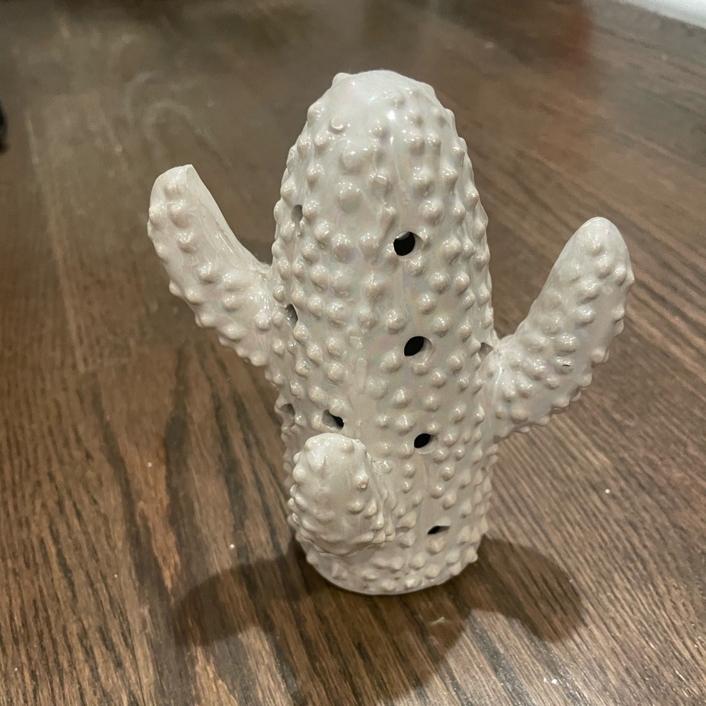 Cactus Decoration